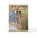 Kitten Dax Valentine Card by naturegirl7 Kitten Dax Valentine Card