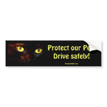 KITTEN EYES Collection Bumper Sticker