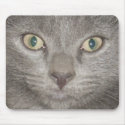 kitten face2 mousepad -gray