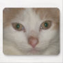 kitten face 1 mousepad