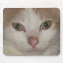 kitten face 1 mousepad by minx267 kitten face 1 mousepad