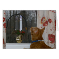 Kitten First Christmas cards
