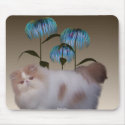 Kitten Flowers Mousepad by mickeyelvis128 Kitten Flowers Mousepad