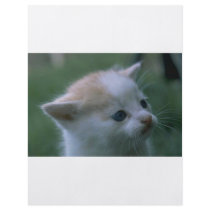 Kitten flyers by oddbob Kitten flyers