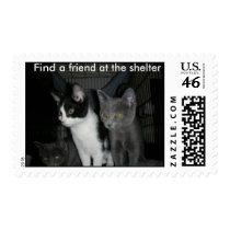 kitten friends 1 postage by myrddin_graylorn kitten friends 1 postage