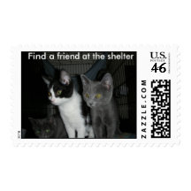 kitten friends 1 stamp