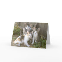 Kitten Friends Greeting Card by lifeexpressions Kitten Friends Greeting Card