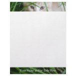 Kitten Gaze Letterhead