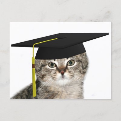 kitten_graduation_postcard-p239114490805986085qibm_400.jpg