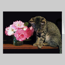 Kitten Greeting Card cards