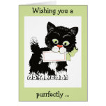 Kitten Greetings-Personalized Cards