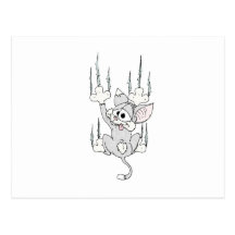 Kitten Hanging Around Postcard