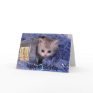 postcard - perfect for the little one you love