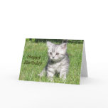 Kitten Happy Birthday greeting card