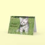 Kitten Happy Birthday greeting card