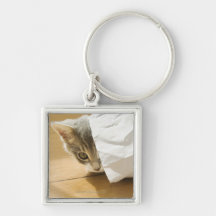 Kitten hiding in paper bag key chains
