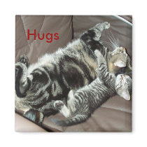 Kitten hugs magnet