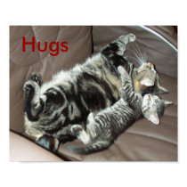 Kitten hugs poster posters by TraceElements Kitten hugs poster posters