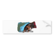 Kitten Hugs Teddy Bear Bumper Stickers