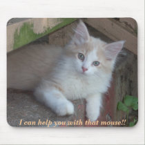 KITTEN: I can help you with that mouse!! mousepads