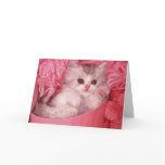 Kitten in A Pink Box Cards