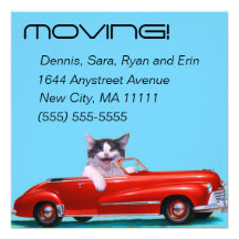 Kitten in a Red Convertible Announcements