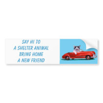 Kitten in a Red Convertible Bumper Stickers