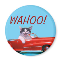 Kitten in a Red Convertible Refrigerator Magnets