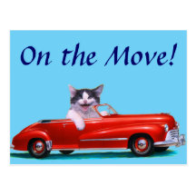 Kitten in a Red Convertible Post Card