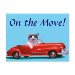 Kitten in a Red Convertible Post Card