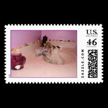 Kitten in a Sink postage