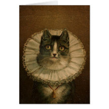Kitten in an Elizabethan ruff Card