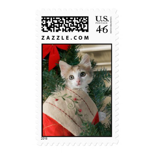 Kitten in Christmas Stocking Postage stamp