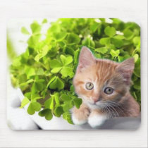 Kitten in clover mousepad