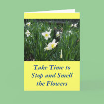 KITTEN IN FLOWERS cards