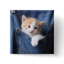 kitten in jeans bag pinback button