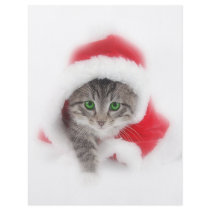 Kitten in Santa hat flyers