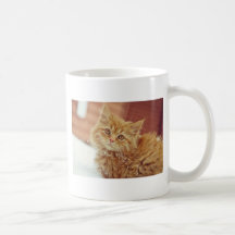 Kitten in Snow Coffee Mugs