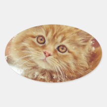 Kitten in Snow Sticker