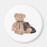 cat, kitten, animal, fart, baby, teddy, bears, cuddly