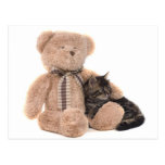 kitten in the arms off has teddy bear postcard