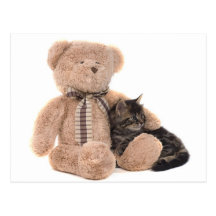 kitten in the arms off has teddy bear postcard