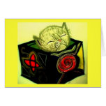 Kitten in the Box card