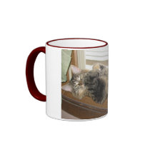 kitten in window mugs