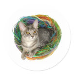 Kitten in Yarn stickers