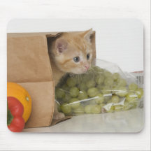 Kitten inside grocery bag mousepad