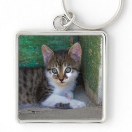 Kitten keychain