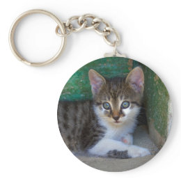 Kitten keychain