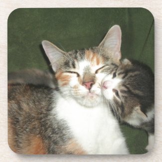 Kitten Kiss Coasters