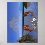 Kitten Lake 1 Posters